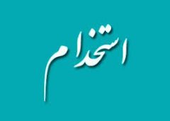 استخدام برنامه نویس وب،کارشناس تست و مستند سازی/تهران